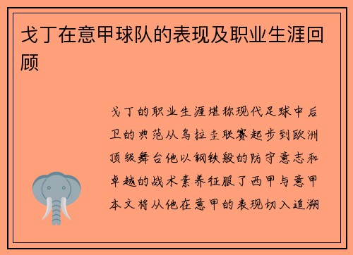 戈丁在意甲球队的表现及职业生涯回顾